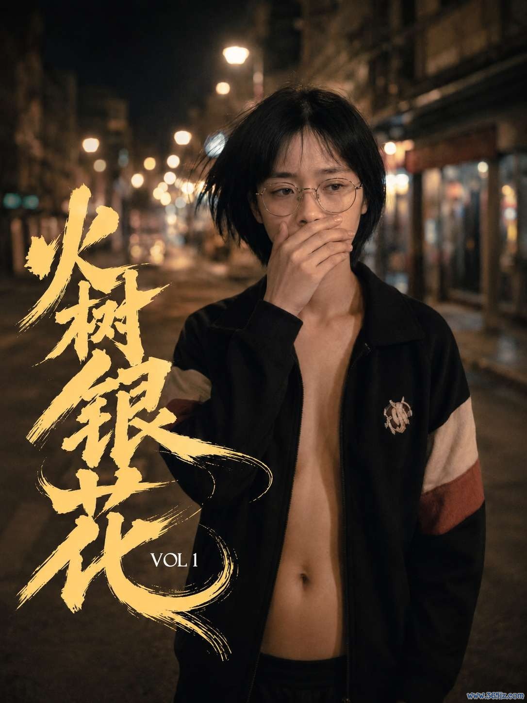 火树银花封面