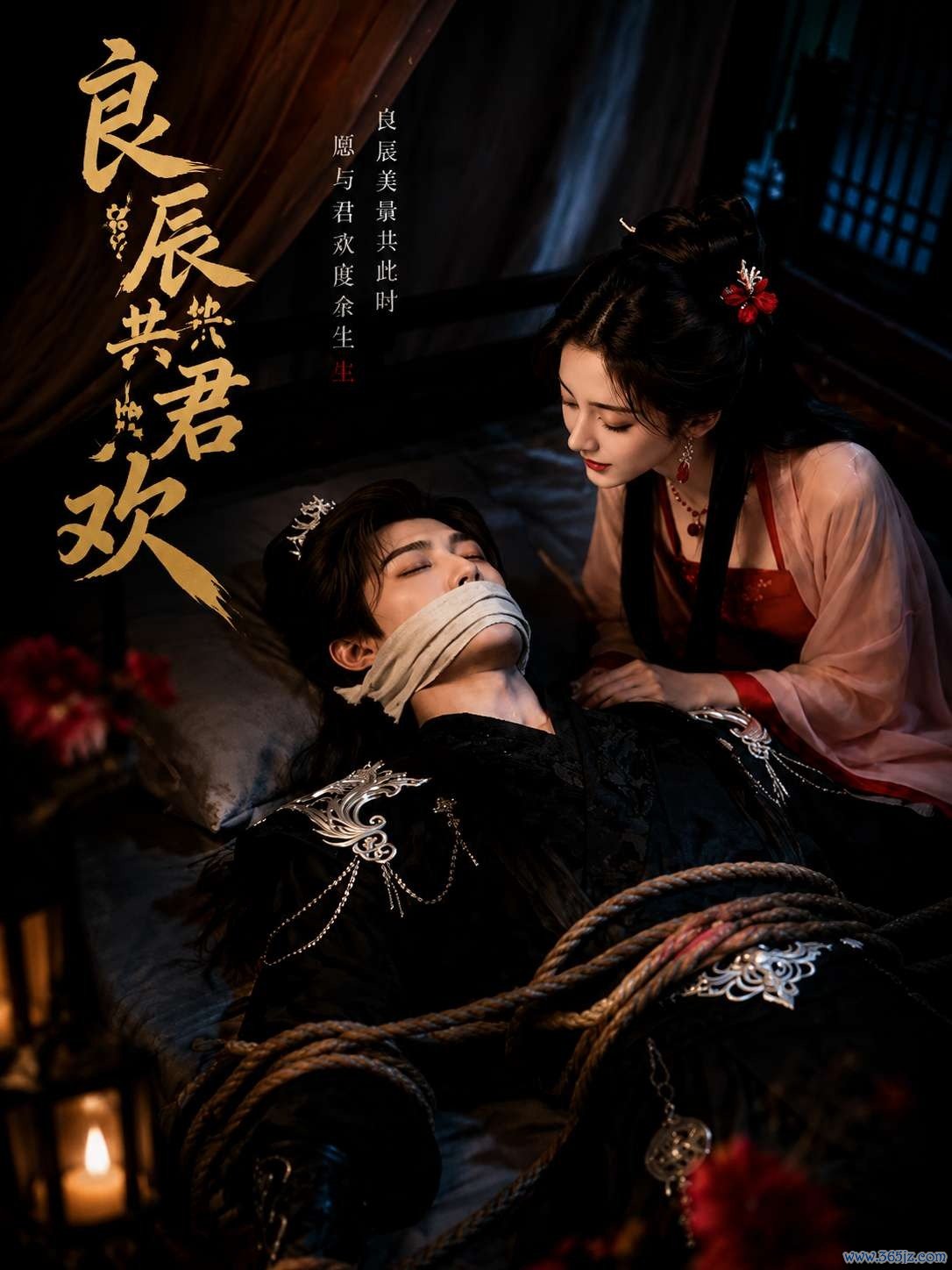 良辰共君欢封面